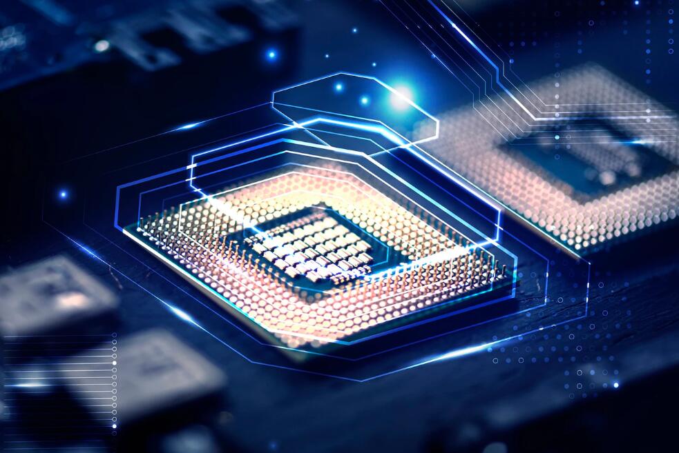 上海小朋友骑马的地方 上海马术运动场